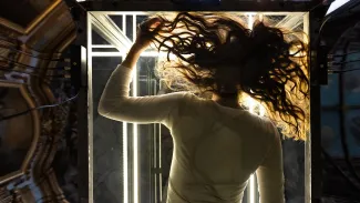 Cabinet de Curiosité